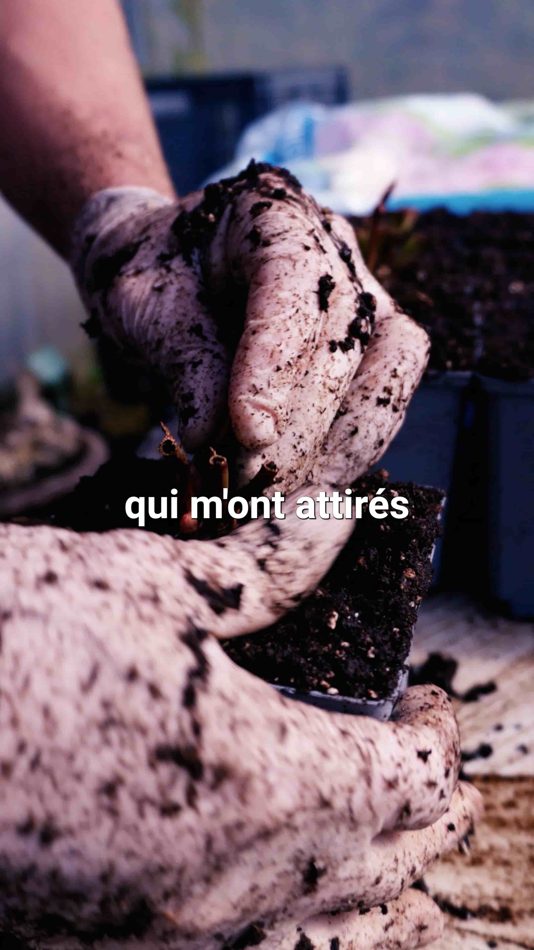 Vidéo Fleurs et Ânes d'Armor — producteur local à Plénée-Jugon
